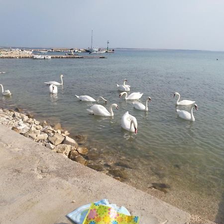 New Kosljun Apartment Short Walk To Beach Екстер'єр фото